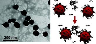 Alginate-Coated Hematite Nanoparticles